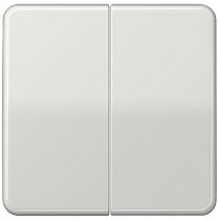 Лицевая панель Jung CD500 для 2-кл. выключателя светло-серый картинка